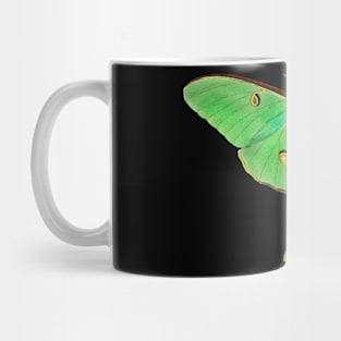 Luna Moth Mug